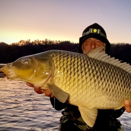Fishhob big carp